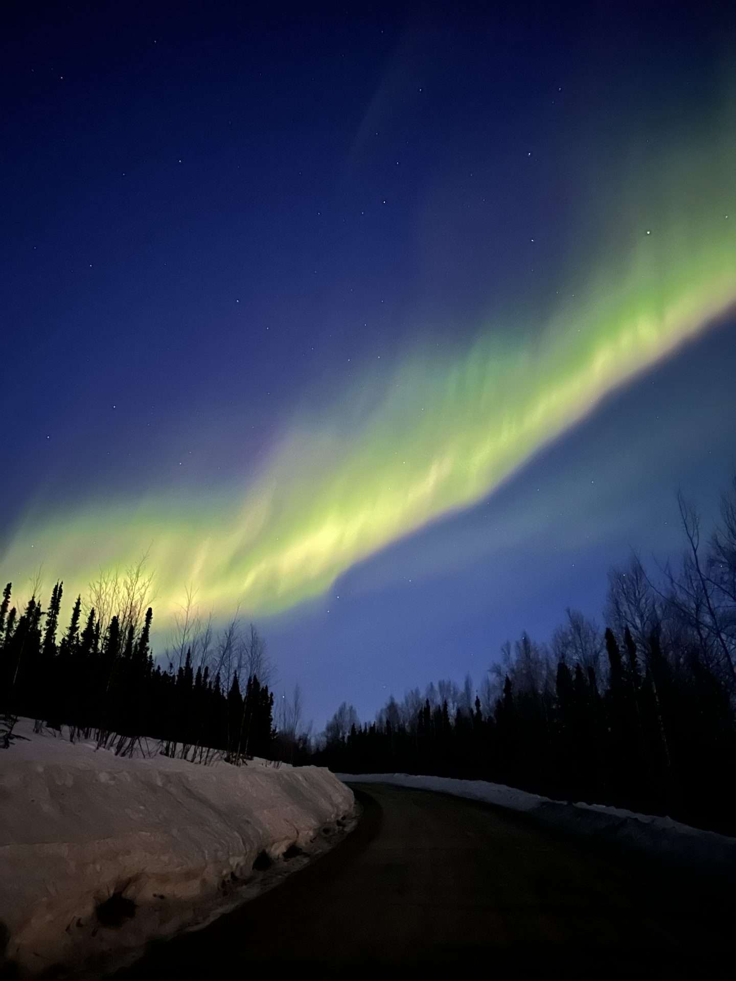 aurora borealis - fairbanks, AK