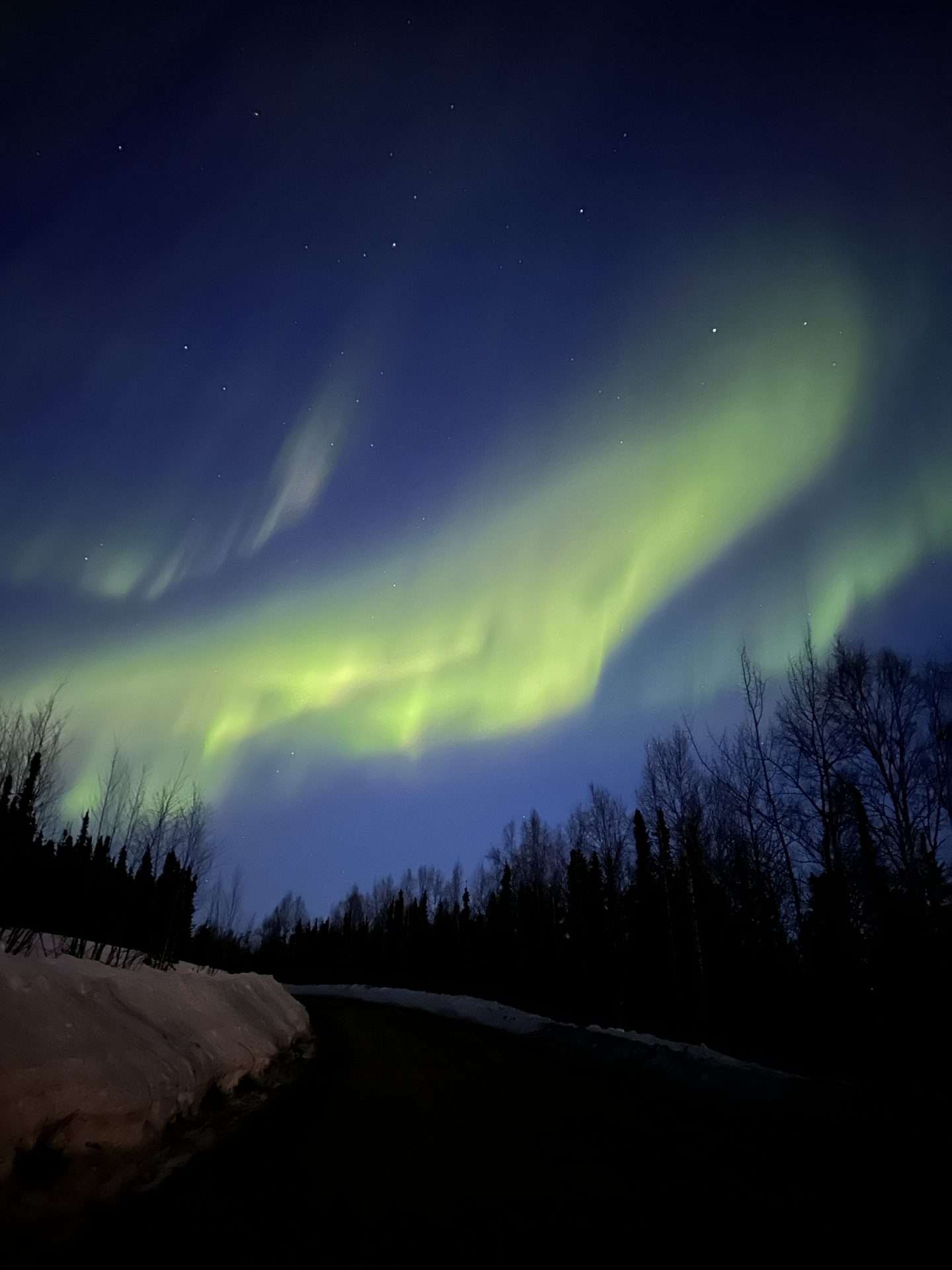 aurora borealis - fairbanks, AK