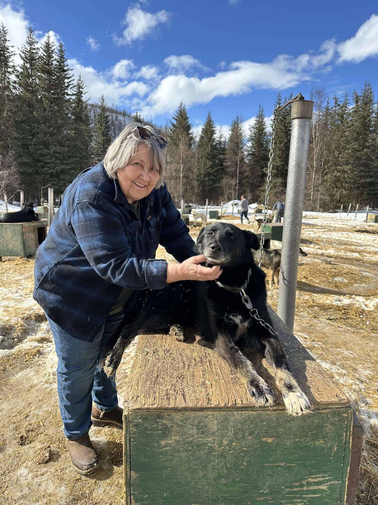 chena resort hot spring husky kennel