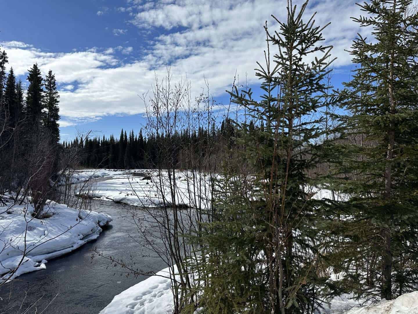 chena river - alaska