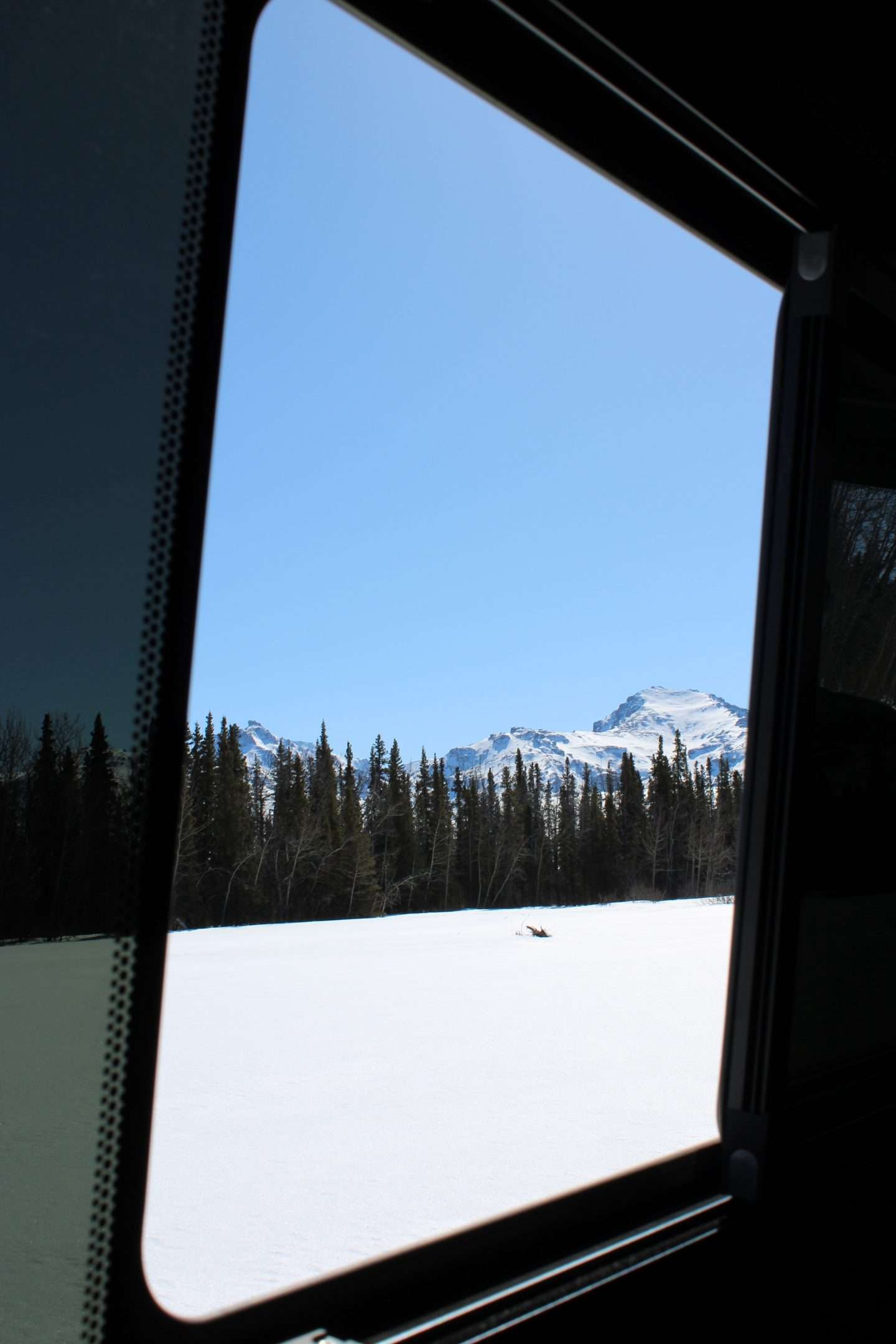 fat truck denali tour window