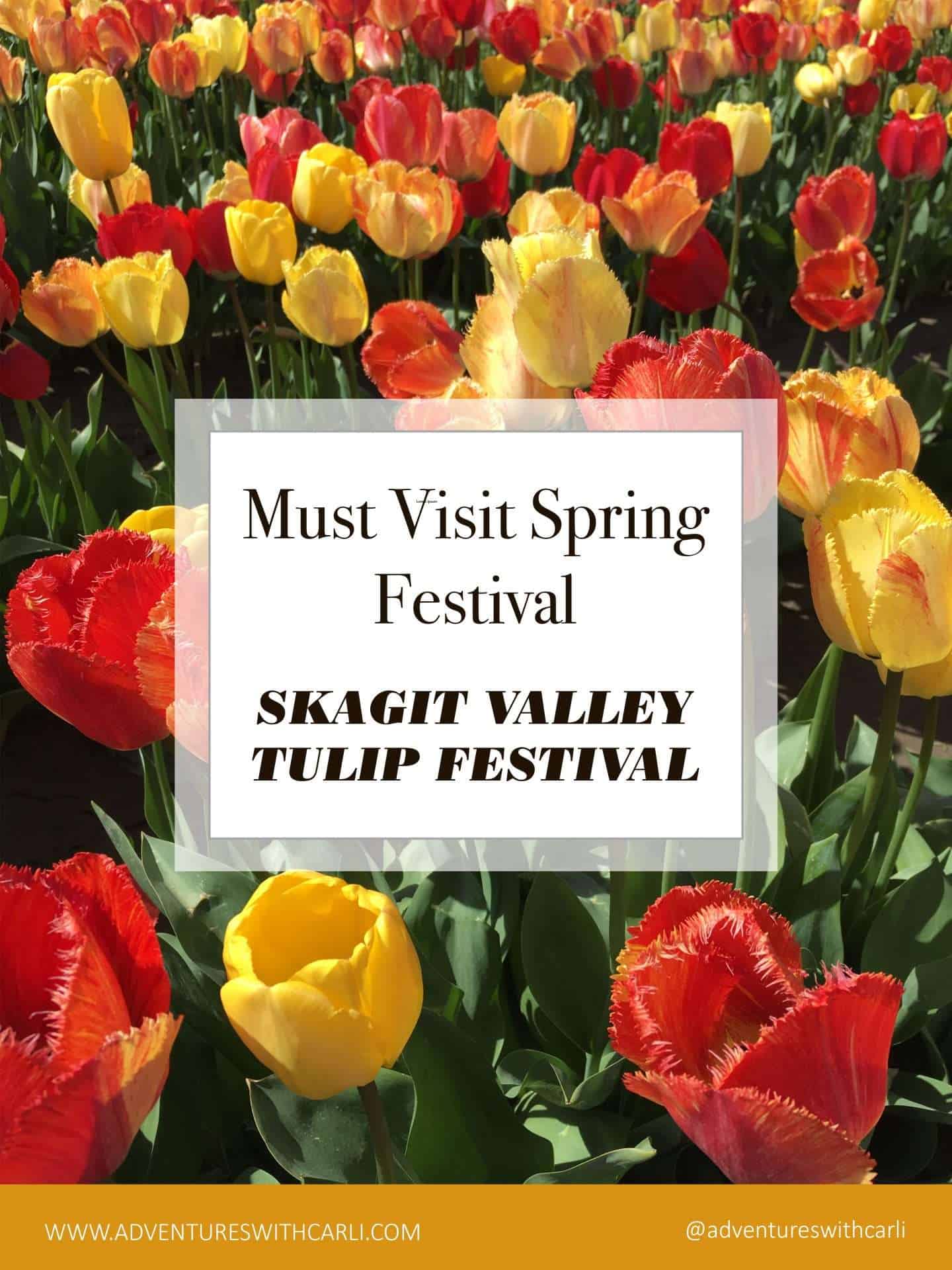 The Best of Spring: The Skagit Valley Tulip Festival
