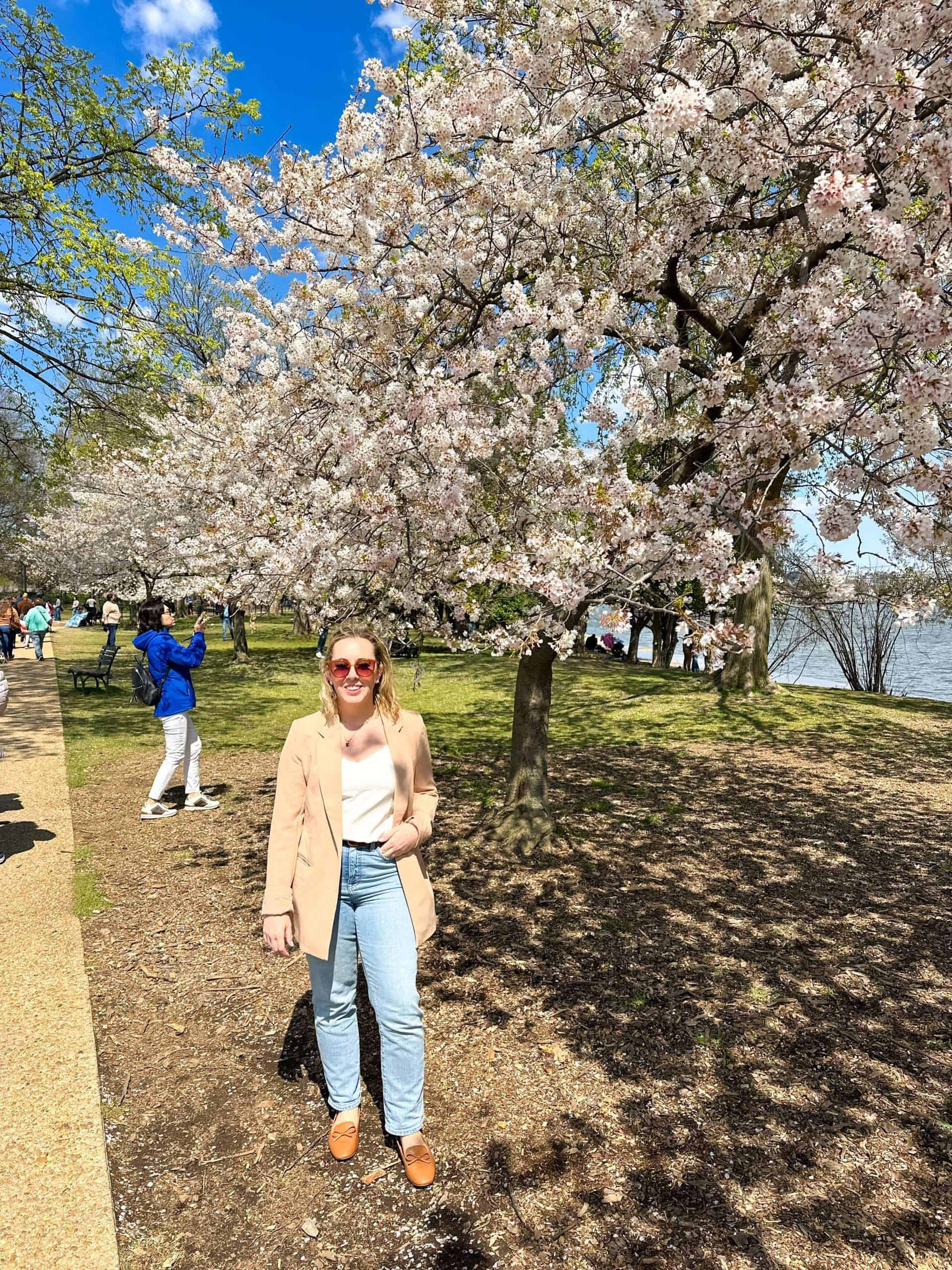 What to Know Before Visiting the DC Cherry Blossom Festival