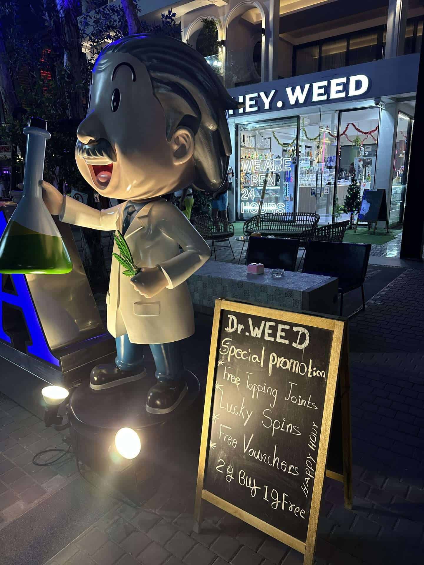 dr weed patong thai weed