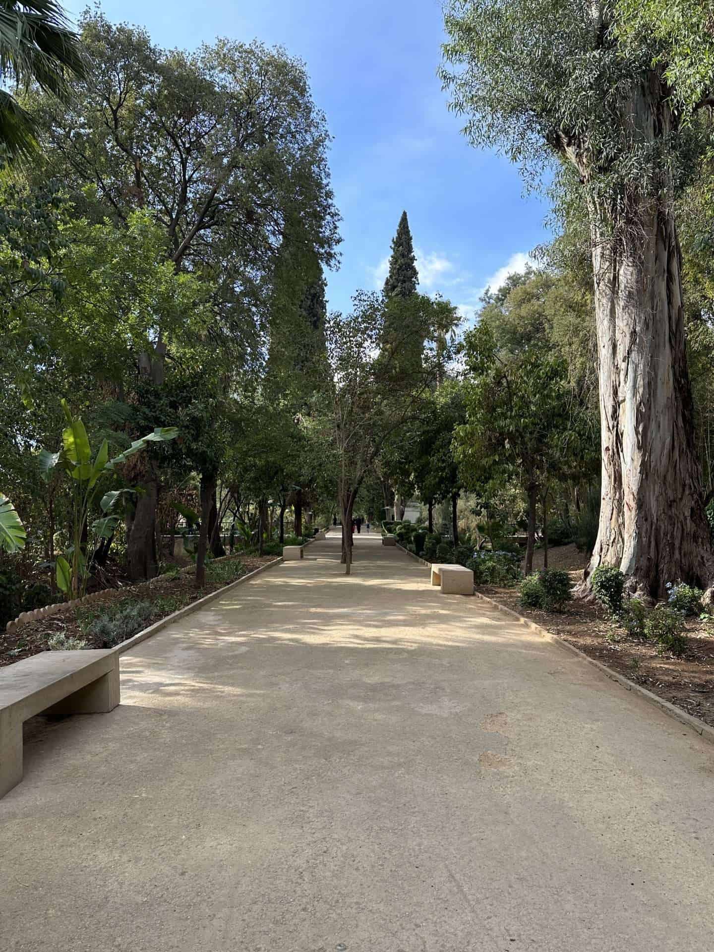 jardin jnane sbil
things to do in fes