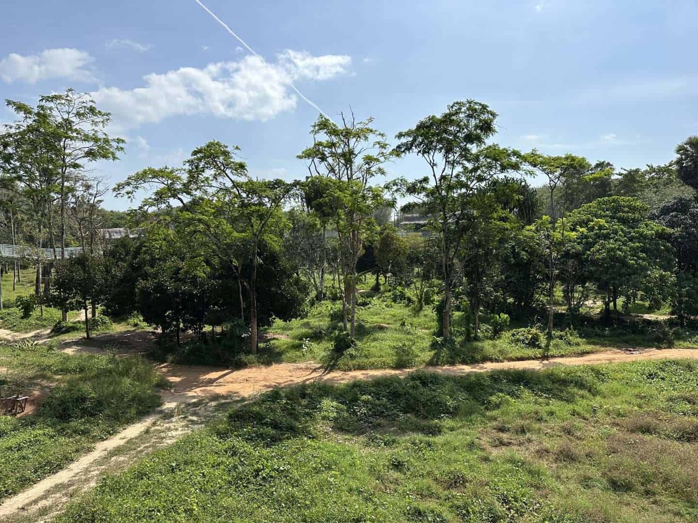 jungle of phuket elephant sanctuary - best elephant sanctuary in phuket