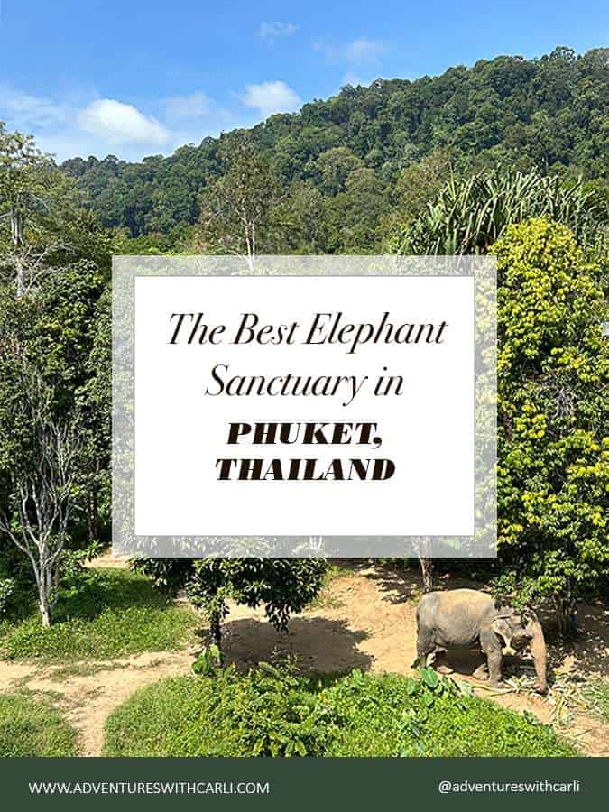 The Best Elephant Sanctuary in Phuket for Ethical Tourism