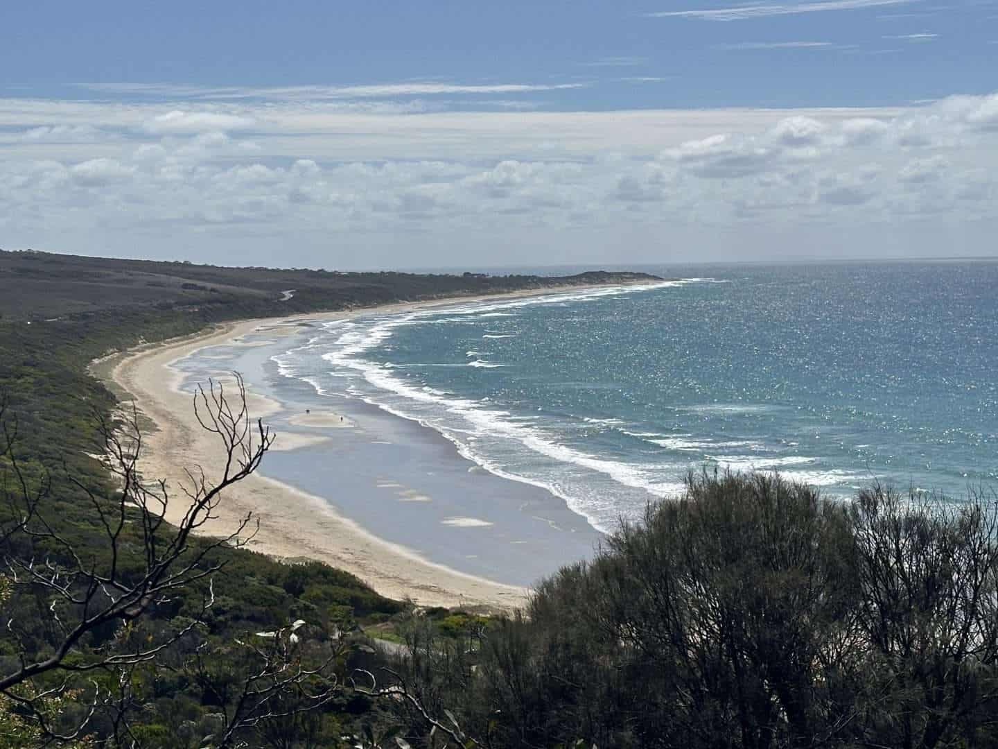 scenic viewpoint great ocean road tour