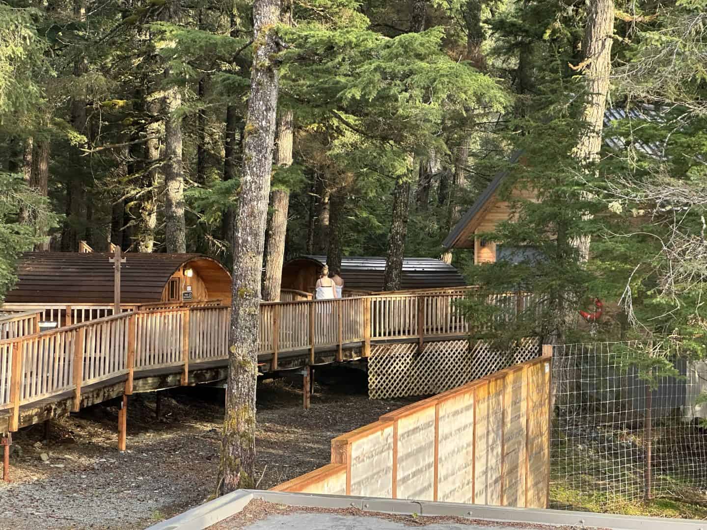 forest walk at alyeska nordic spa