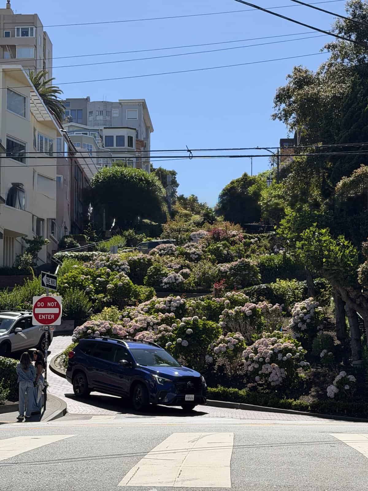 view looking up winding lombard street, with hydrangea garden in full bloom